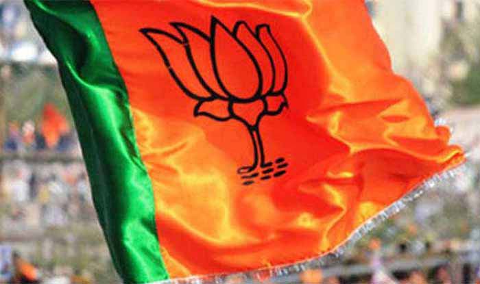 Lok Sabha Elections 2019: Dadra & Nagar Haveli Lok Sabha Seat Poll Date And Other Details